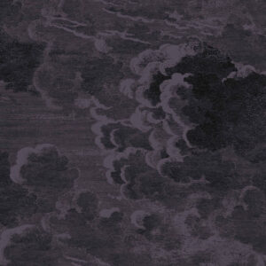 Donkergrijs Fornasetti Nuvolette-behang met gedetailleerde illustratie van dramatische wolken.