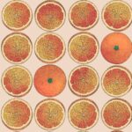 Illustratief Fornasetti-behang met een patroon van hele en doorgesneden sinaasappels in warme tinten.