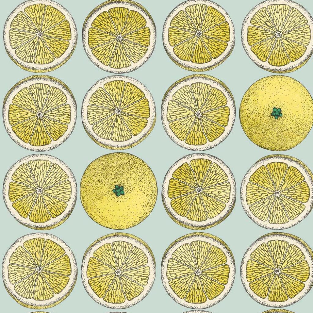 Illustratief Fornasetti-behang met een patroon van sinaasappelhelften en hele sinaasappels op een lichtblauwe achtergrond.