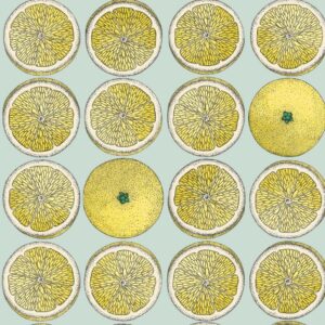 Illustratief Fornasetti-behang met een patroon van sinaasappelhelften en hele sinaasappels op een lichtblauwe achtergrond.