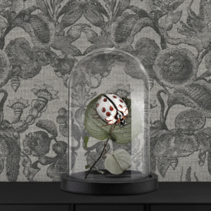 Decoratieve glazen stolp met een gestileerde lieveheersbeestje op een tak, voor jacquardbehang met bloemmotief uit de Moooi Coccinella Bella collectie.
