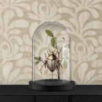 Decoratieve kever met bladeren onder een glazen stolp op een zwarte kast, tegen een beige behang met organisch patroon.