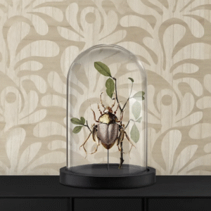 Decoratieve kever met bladeren onder een glazen stolp op een zwarte kast, tegen een beige behang met organisch patroon.
