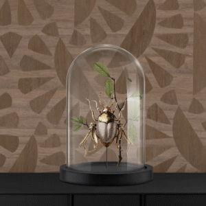 Decoratief object van een gouden kever met bladeren onder een glazen stolp, geplaatst voor een houten wand met geometrisch patroon.