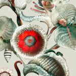 Gedetailleerde botanische illustratie van de Moooi Wallcovering Green House met opvallende rode bloem en lieveheersbeestje op een blad.