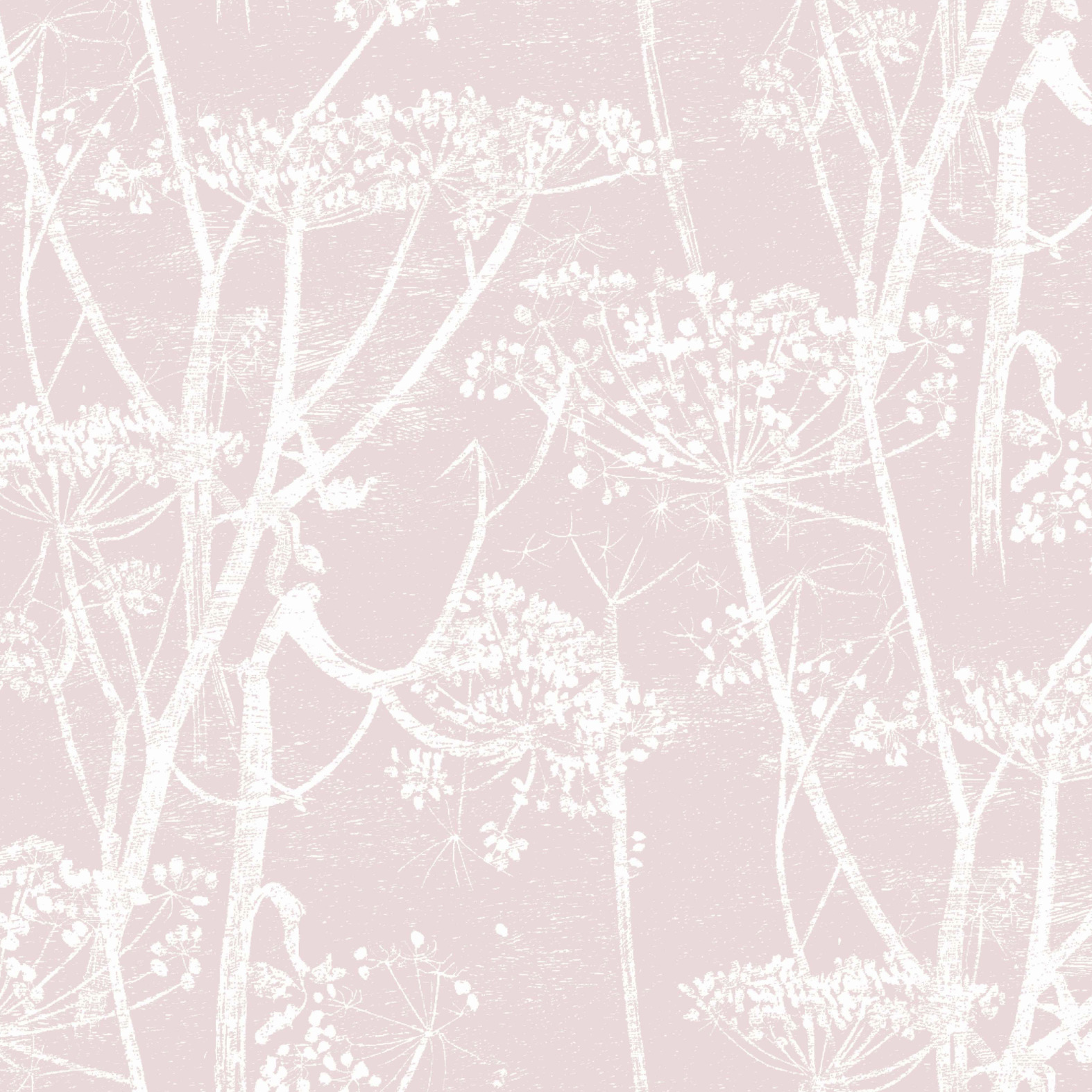 Cole and Son – Cow Parsley F111/5018