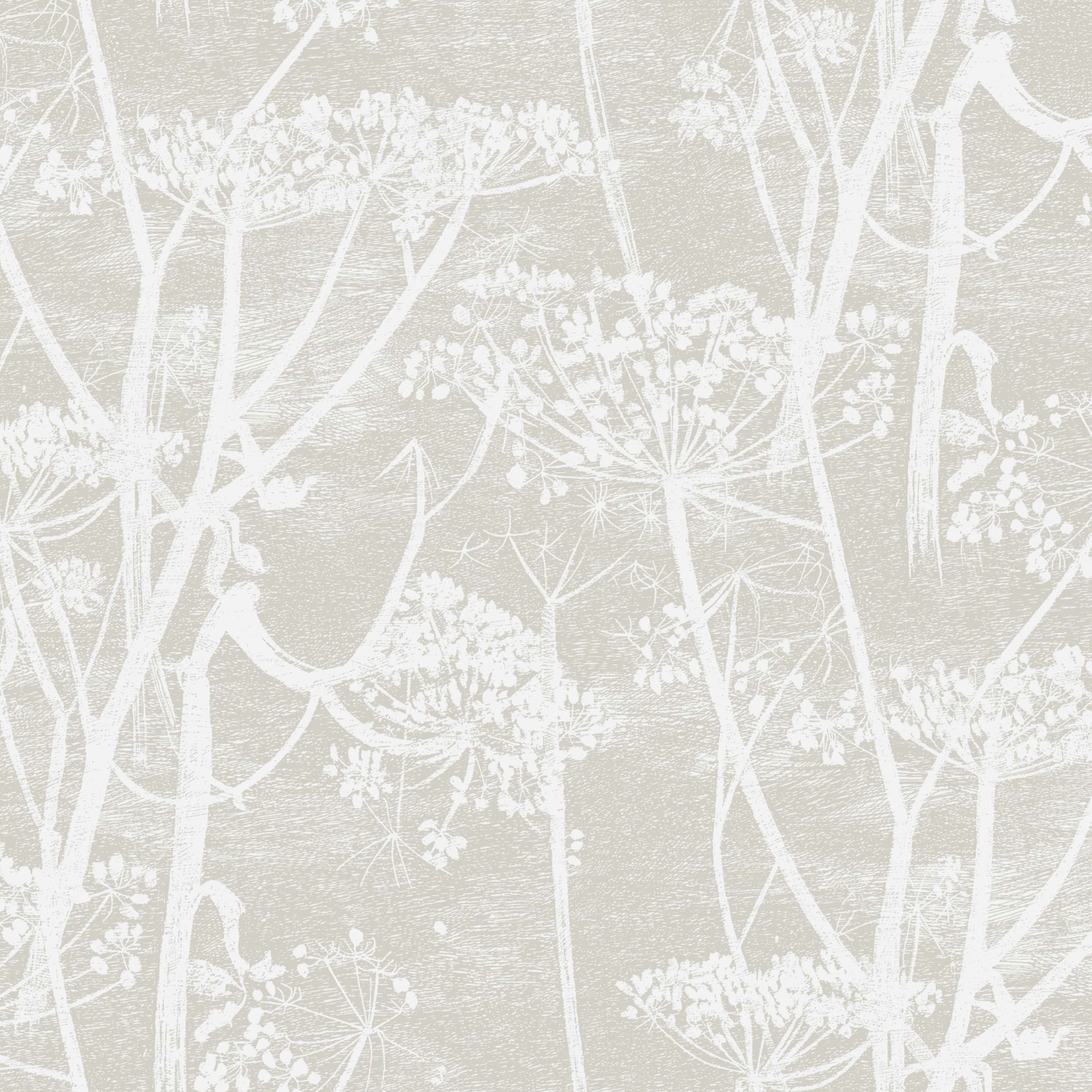 Cole and Son – Cow Parsley F111/5019