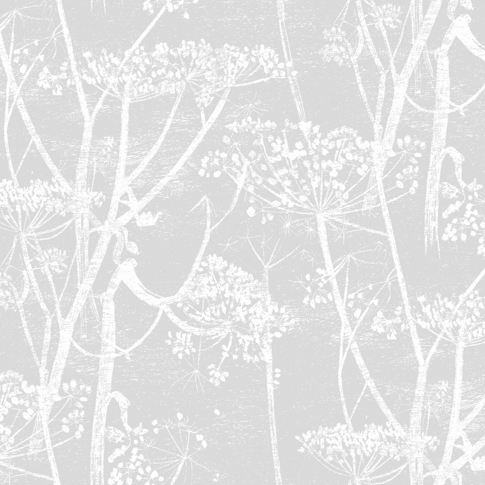 Cole and Son – Cow Parsley F111/5021