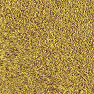 Close-up van het geborstelde metalen oppervlak in goudkleur van de VP-625-45.