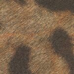 Behang met een luipaardprintstructuur in warme bruin- en zwarttinten uit de Elitis Sauvages collectie.