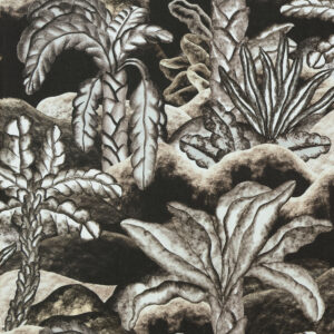 Gedetailleerde tekening van tropische planten in aardetinten uit het Arte Balata Garden ontwerp.