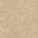 Beige kalkachtige stucwerkstructuur met een natuurlijke, gewolkte uitstraling uit de Arte Essentials Kaolin collectie.