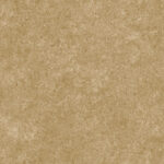 Beige kalkachtige textuur van de Arte Essentials Kaolin Calcaire Stucco wandbekleding.