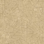 Beige keramisch oppervlak met een patroon van fijne, bladerachtige breuklijnen uit de Arte Essentials Kaolin collectie.