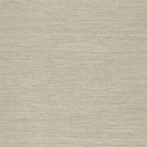 Beige wandbekleding met fijne horizontale lijnen uit de Arte Prismatic Gradient collectie.