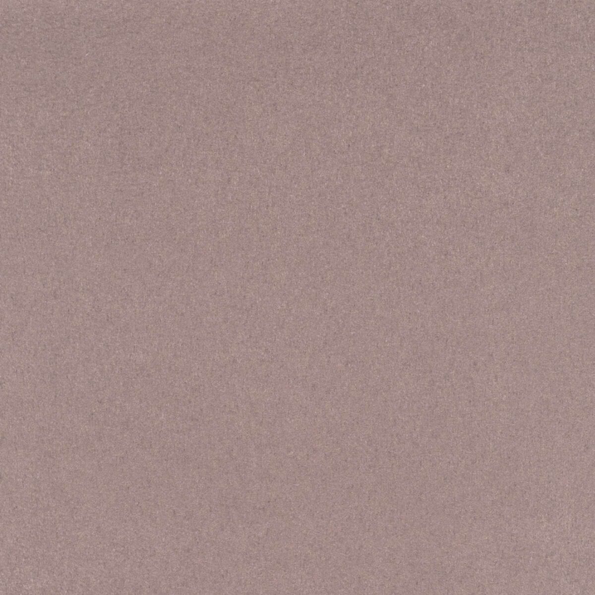 Elitis – Velatura Cocoon RM 1087-06