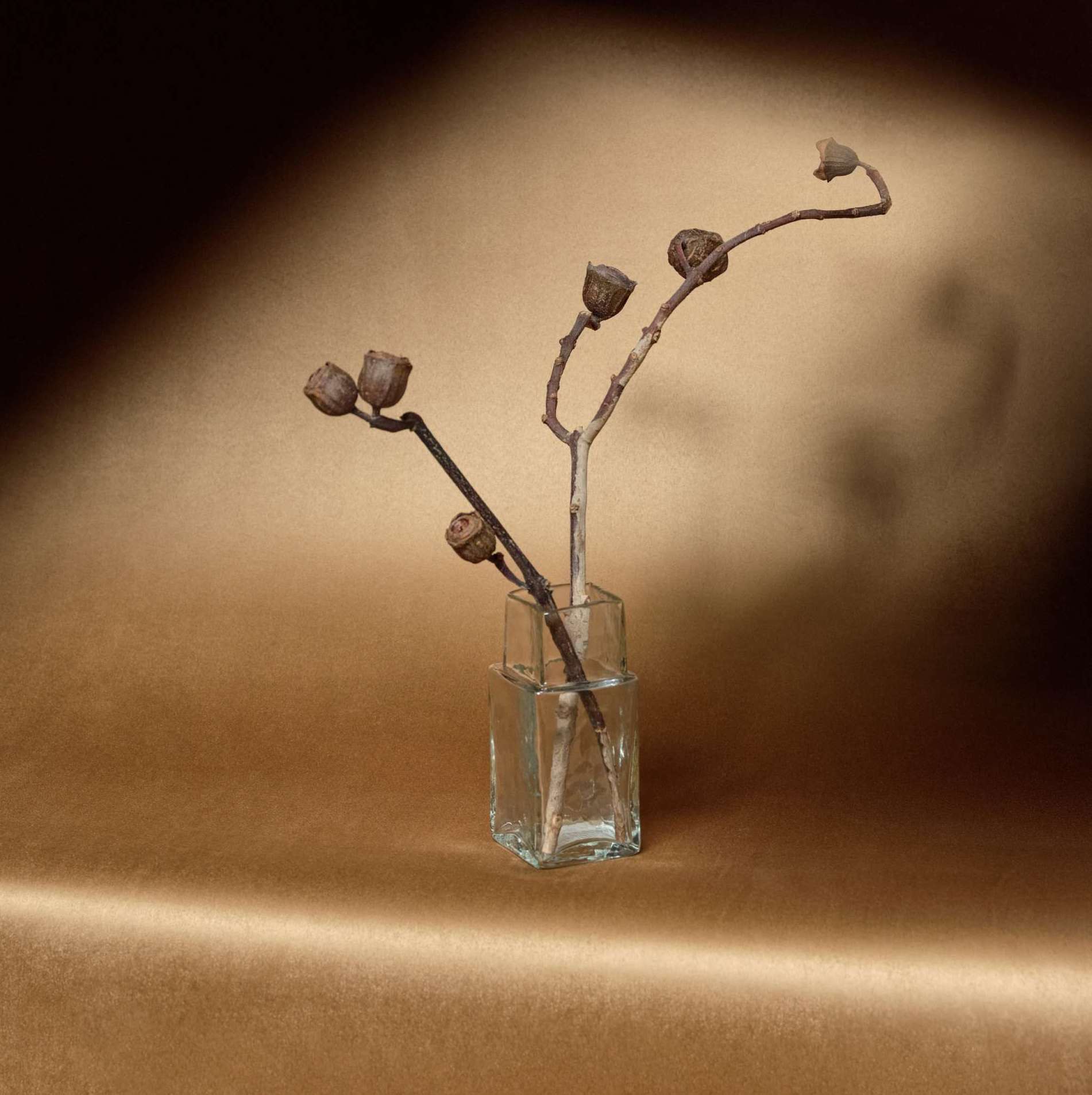 Elitis – Velatura Cocoon RM 1087-70