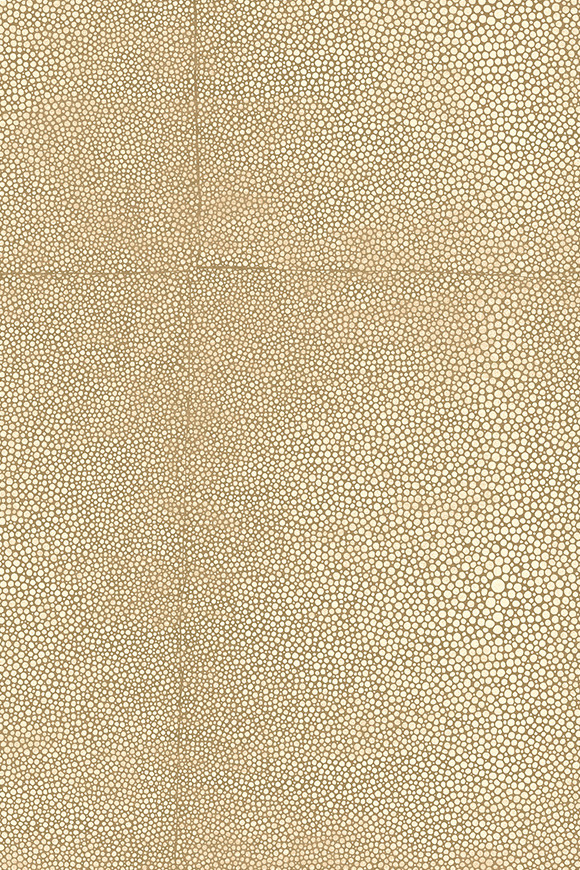 Arte Icons Shagreen behang in kleur Sand (85520) - Product close-up