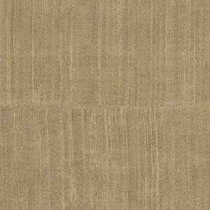 Arte Alaya Katan Silk behang in kleur Peanut (11501) - Product close-up