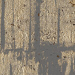 Arte Antares Ant behang in kleur ANT107 (ANT107) - Product close-up