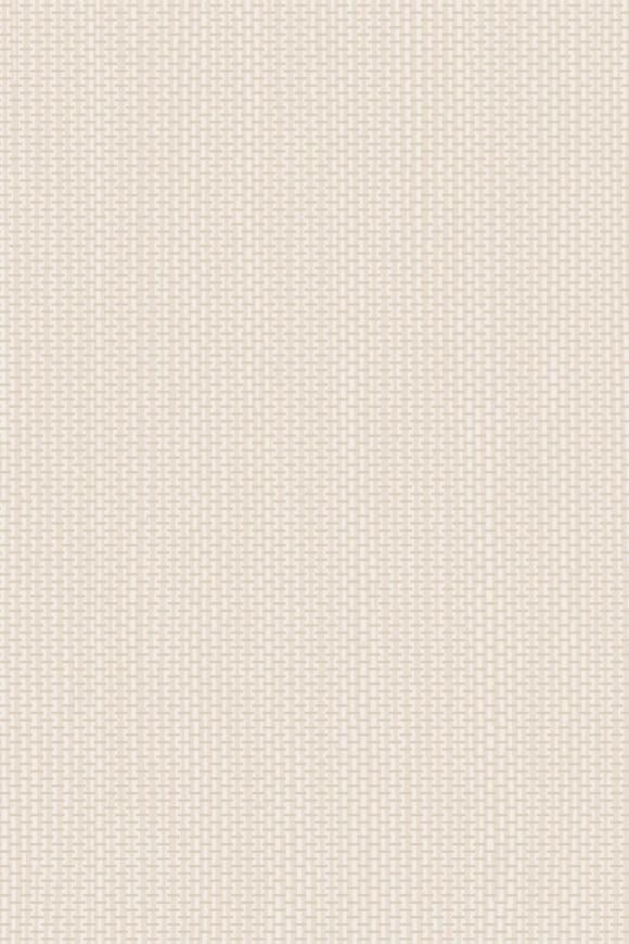 Arte Arte-contract Arundo behang in kleur Eggshell (67741) - Product close-up