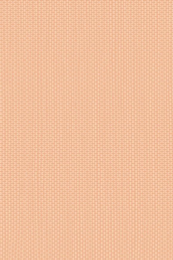 Arte Arte-contract Arundo behang in kleur Papaya (67745) - Product close-up