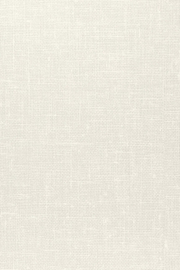 Arte Arte-contract Jutex behang in kleur 67621 (67621) - Product close-up