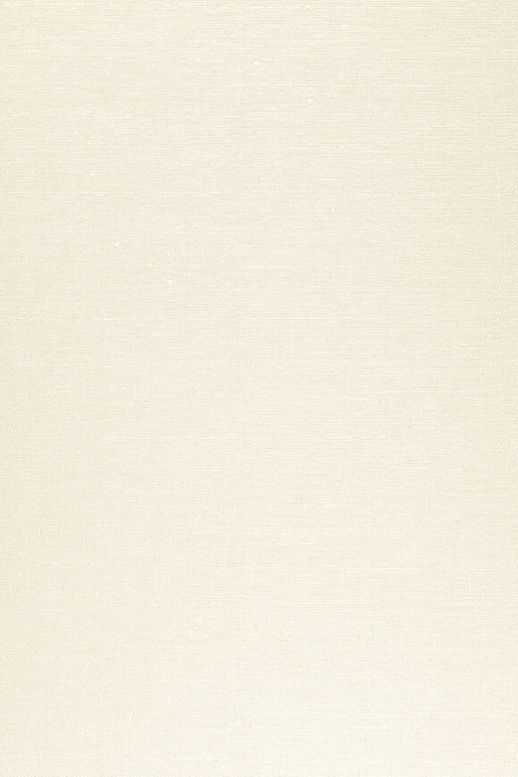 Arte Arte-contract Mistral behang in kleur 67611 (67611) - Product close-up