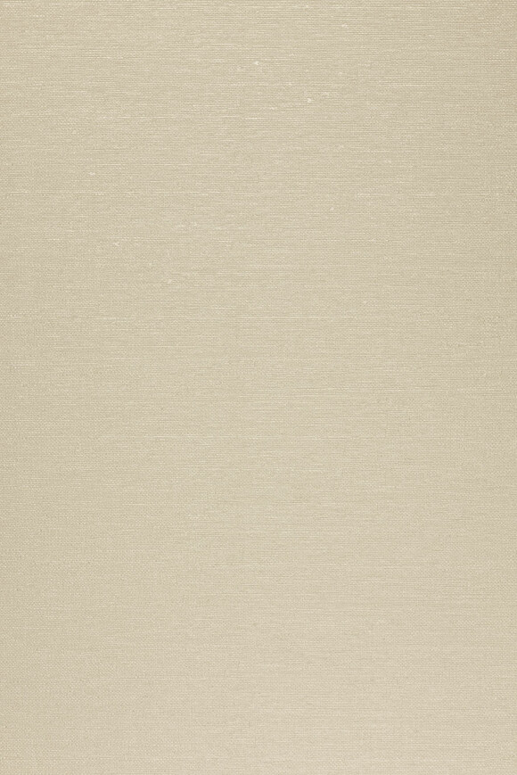 Arte Arte contract Mistral behang in kleur 67613 (67613) - Product close-up