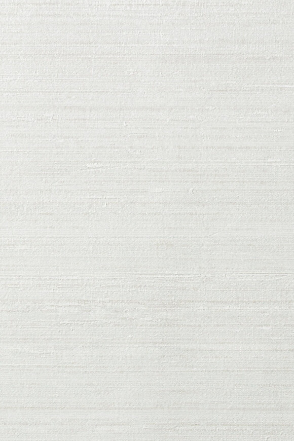 Arte Arte-contract Silkx behang in kleur 67002 (67002) - Product close-up