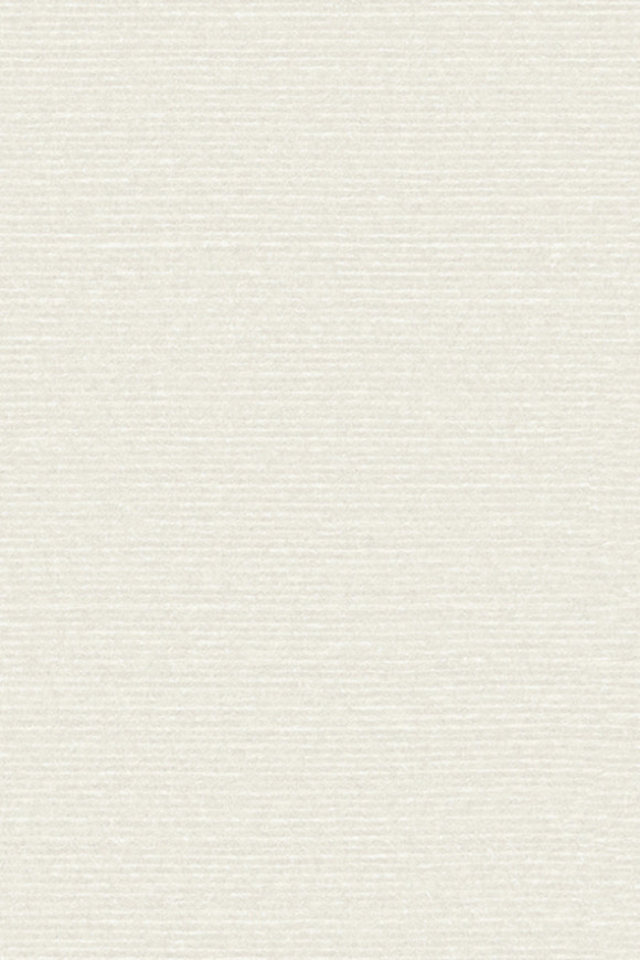 Arte Birds of paradise Silky behang in kleur BOP303 (BOP303) - Product close-up