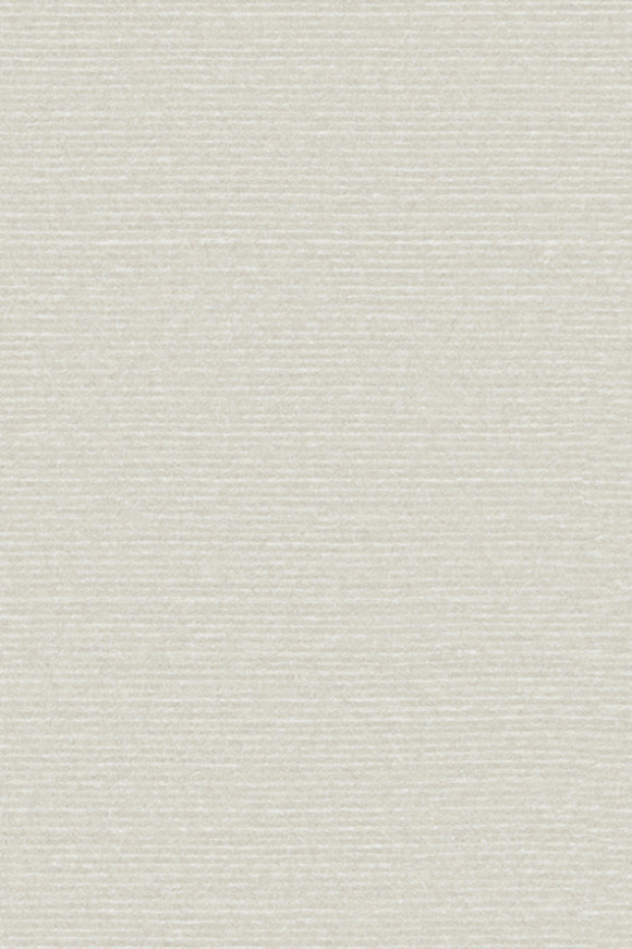 Arte Birds of paradise Silky behang in kleur BOP304 (BOP304) - Product close-up