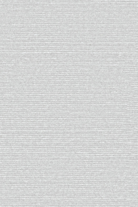 Arte Birds of paradise Silky behang in kleur BOP309 (BOP309) - Product close-up