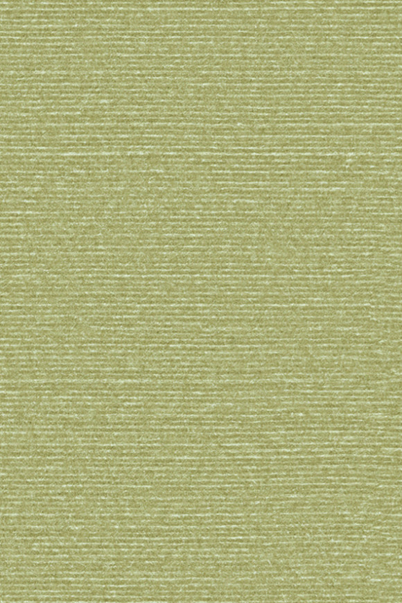 Arte Birds of paradise Silky behang in kleur BOP317 (BOP317) - Product close-up