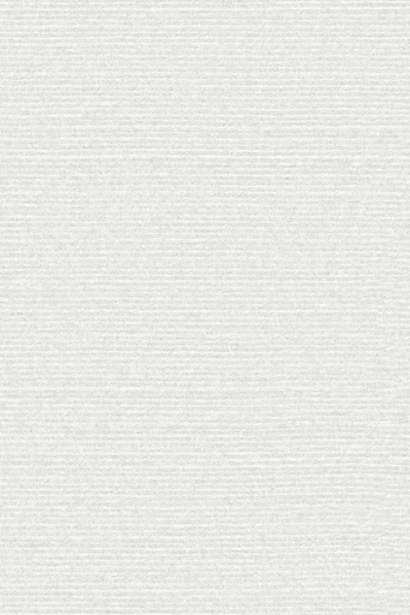 Arte Birds of paradise Silky behang in kleur BOP323 (BOP323) - Product close-up