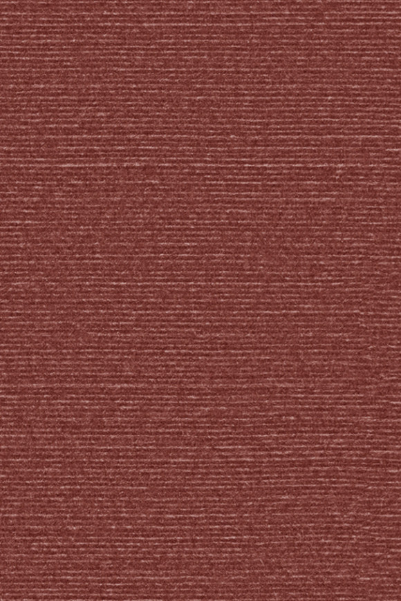 Arte Birds of paradise Silky behang in kleur BOP333 (BOP333) - Product close-up