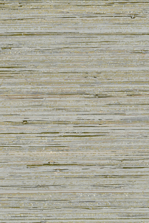 Arte Borneo Boa behang in kleur BOA202 (BOA202) - Product close-up