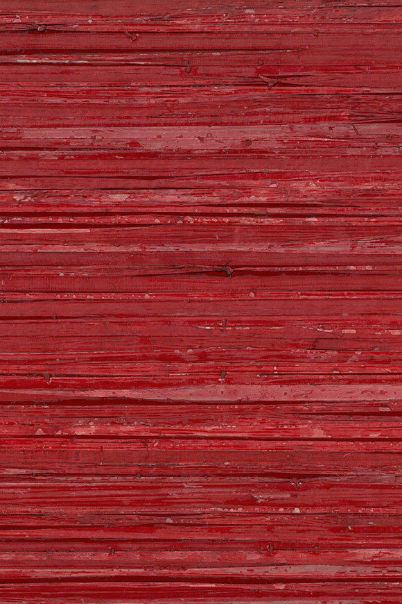 Arte Borneo Boa behang in kleur BOA207 (BOA207) - Product close-up