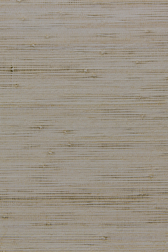 Arte Cobra Ca behang in kleur CA41 (CA41) - Product close-up