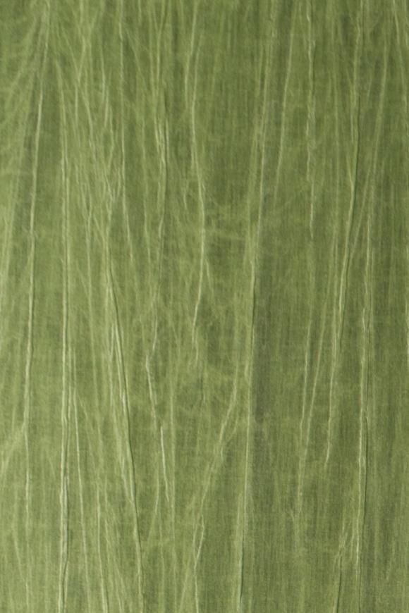 Arte Embleme Pyxis behang in kleur Iguana (38015A) - Product close-up