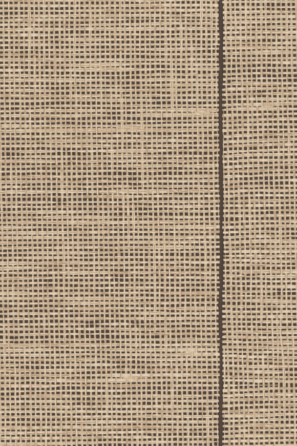 Arte Essentials les naturels Le raphia tisse behang in kleur Black Natural (26744) - Product close-up