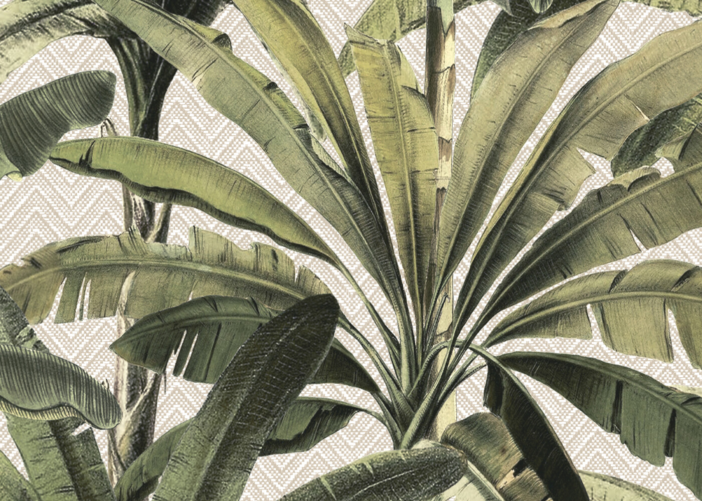 Arte Essentials-travellers Palmera