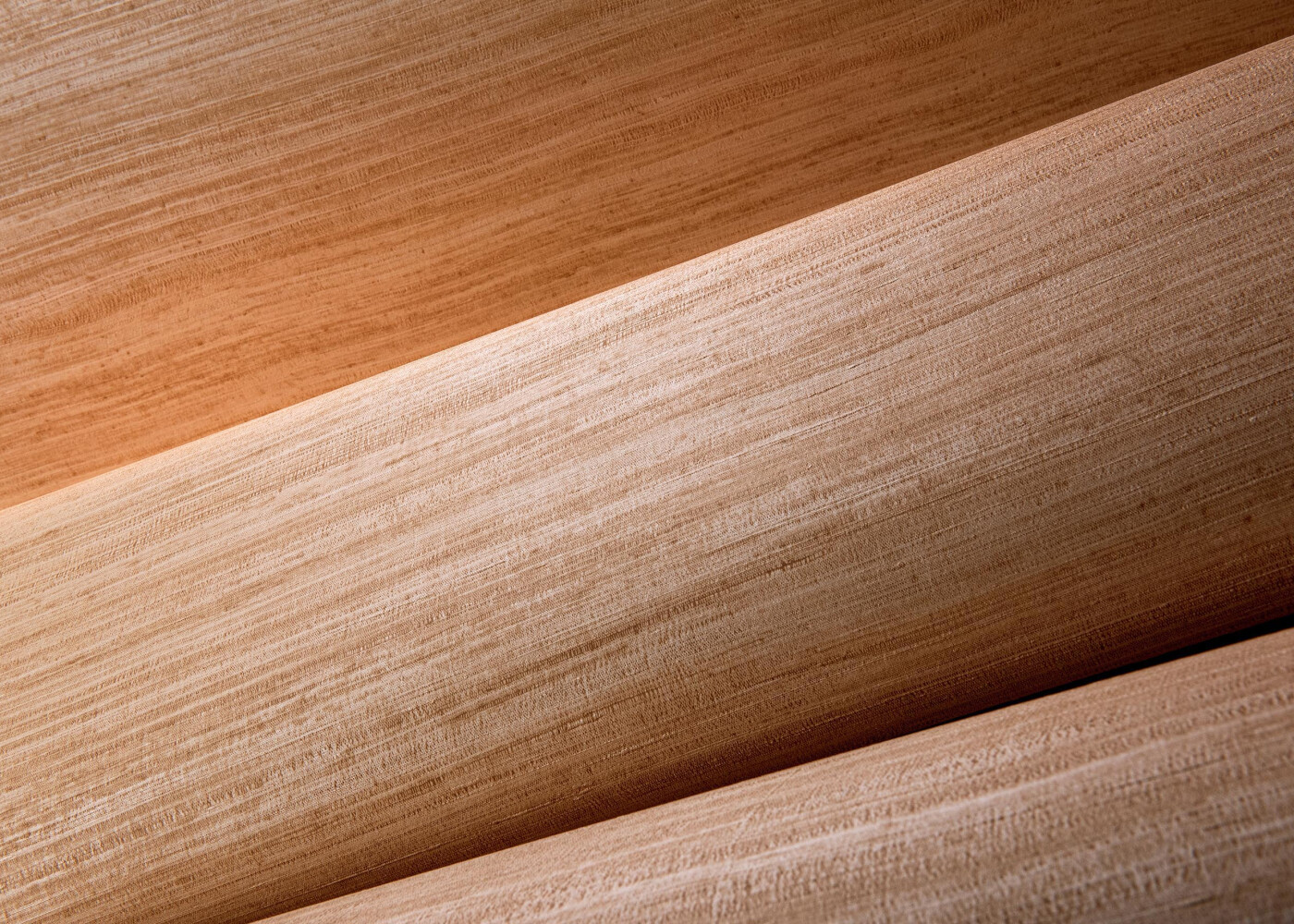 Arte Expedition Tasar