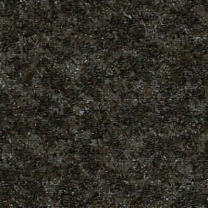 Moooi wallcovering extinct animals Bearded leopard behang in kleur Blackened Blue (MO2052) - Product close-up