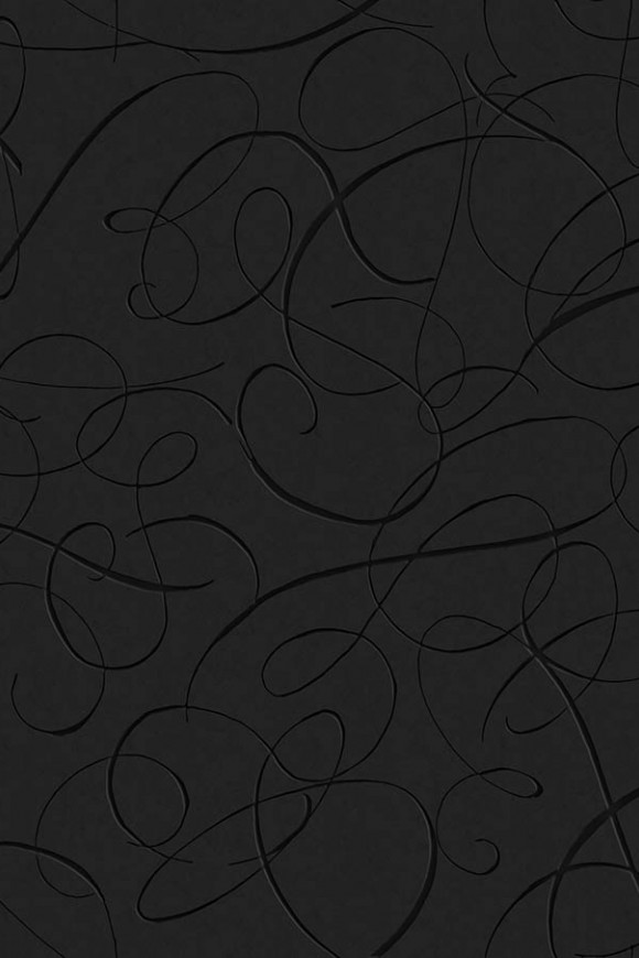 Moooi wallcovering extinct animals Calligraphy bird behang in kleur Midnight (MO2011) - Product close-up