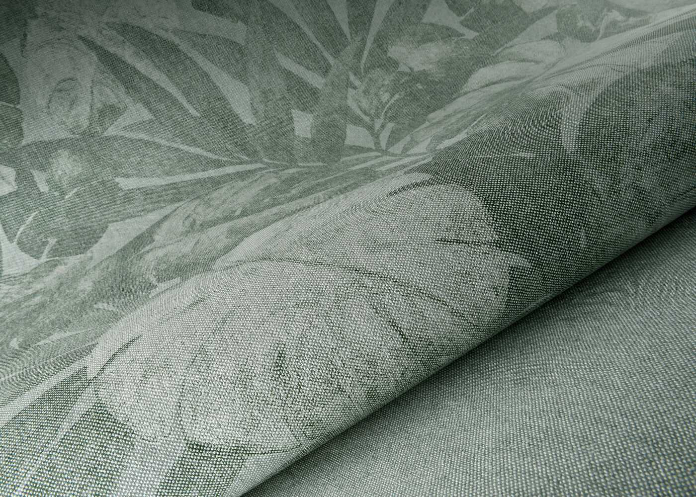 Flamant Les Memoires Expedition