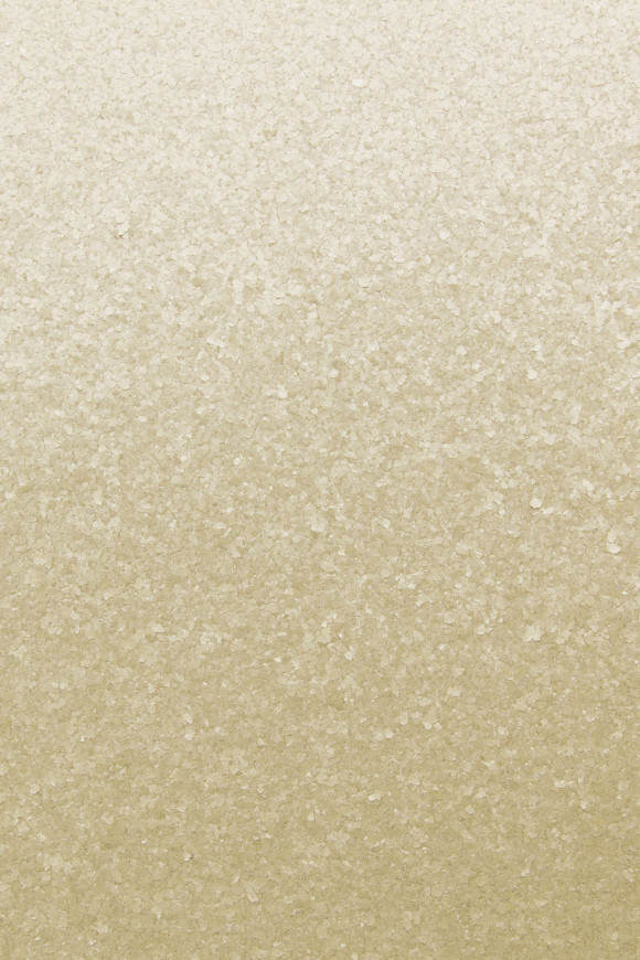 Arte Graphite Gra behang in kleur GRA4101 (GRA4101) - Product close-up