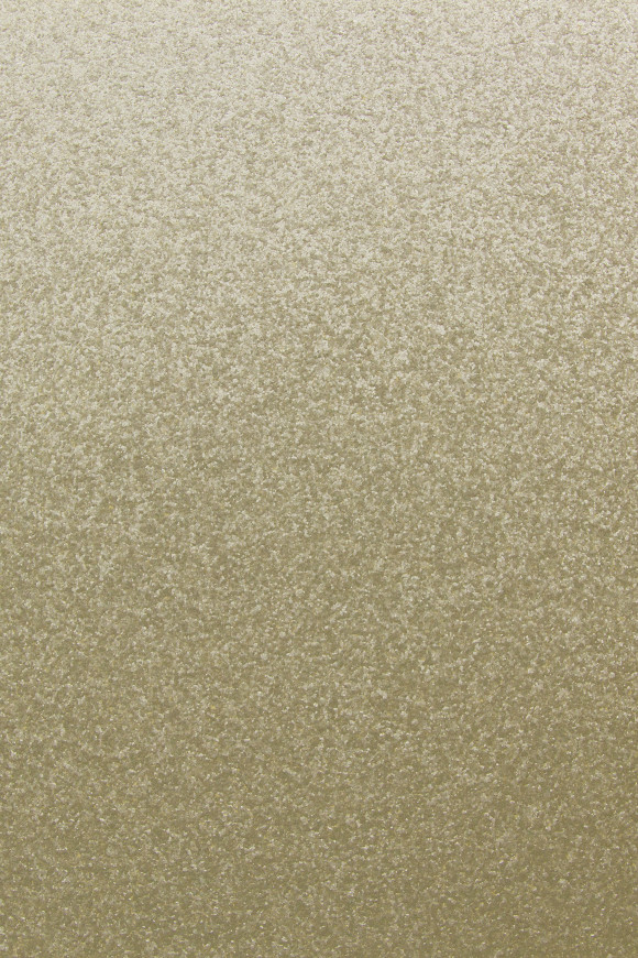 Arte Graphite Gra behang in kleur GRA5001 (GRA5001) - Product close-up