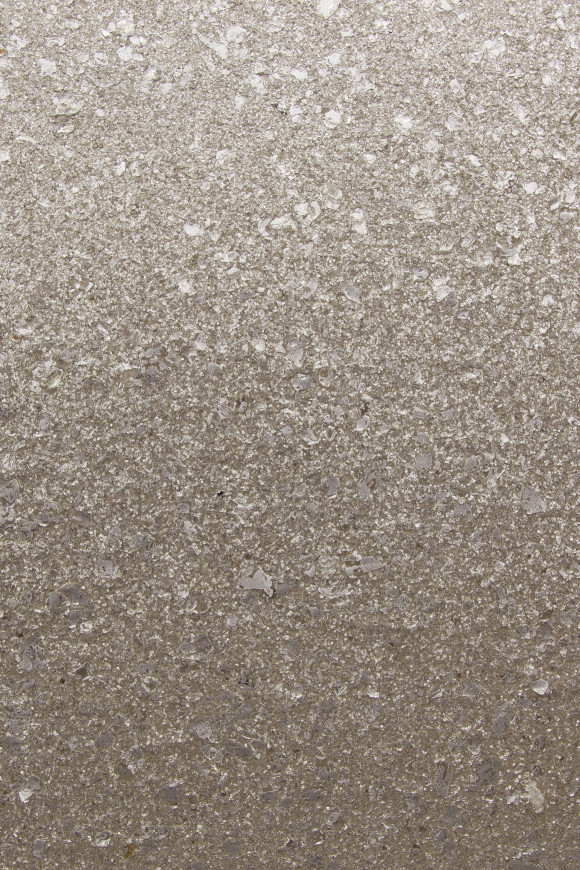 Arte Graphite Gra behang in kleur GRA6010 (GRA6010) - Product close-up