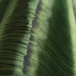 Arte Insolence Swing behang (34662) - Sfeerbeeld